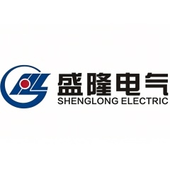 盛隆电气集团电力工程有限公司